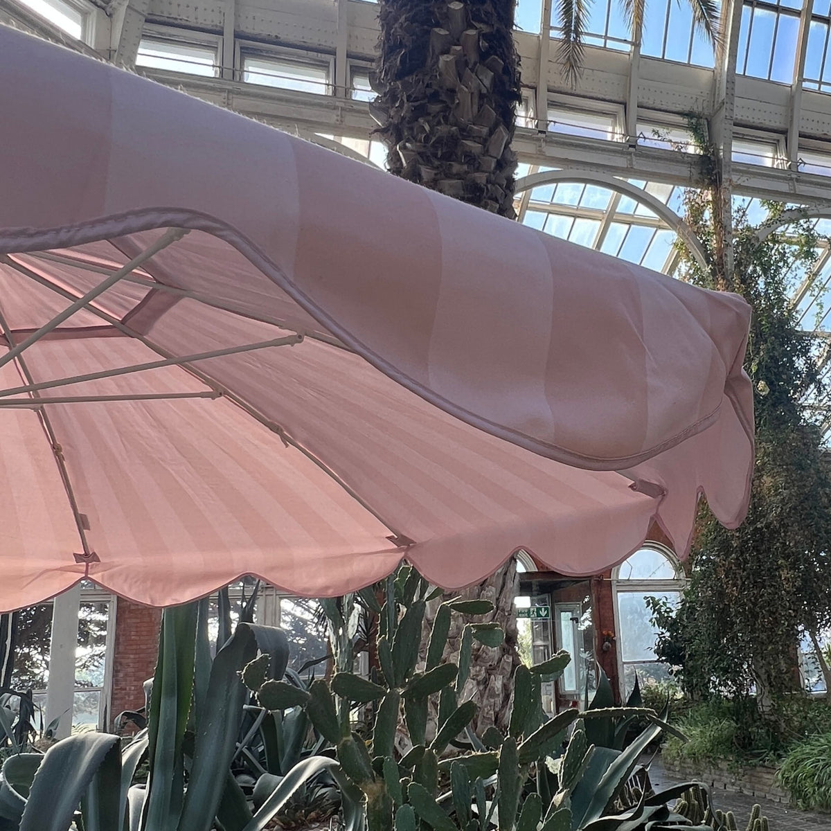 Pavilion- Portico Blush